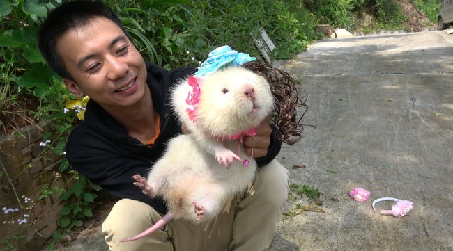 Tikus Bambu Jadi Makanan Lezat Hingga Kemasan Mie Instan Tanpa Gambar Mie