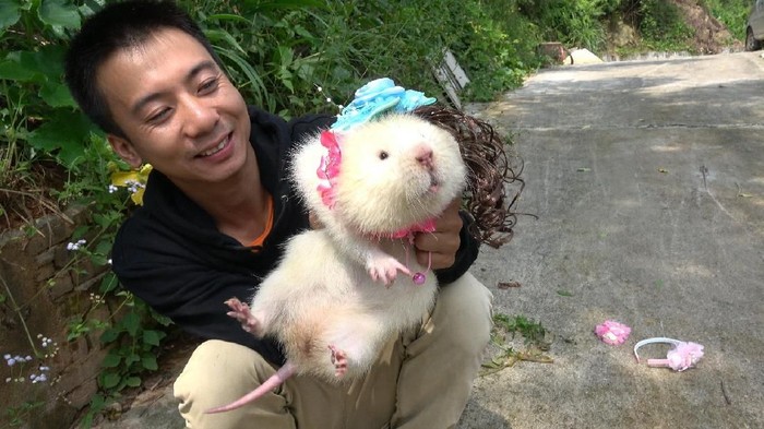 Tikus Bambu Jadi Makanan Lezat Hingga Kemasan  Mie Instan 