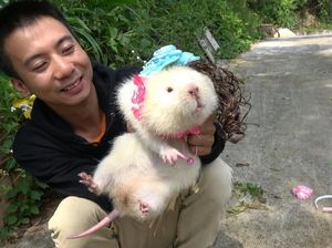 Tikus Bambu Jadi Makanan Lezat Hingga Kemasan Mie Instan Tanpa Gambar Mie