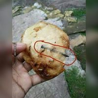 Iiih Jijik! Puntung Rokok hingga Kecoa Masuk Dalam Gorengan 