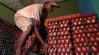 Karena Salah Hitung, RI Harus Impor Ratusan Ribu Ton Jagung