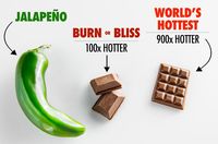 Huaah! Ini Cokelat Batangan Terpedas Di Dunia!
