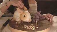 Meniti karir sebagai model dan aktris, kini Renata lebih sibuk menjadi seorang ibu. Aktris cantik kelahiran Klaten ini, sering kulineran dengan makanan bentuk unik dan cantik. Foto: Instagram @renata711