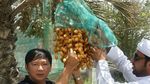 Harry Tjahaja Purnama, Adik Bungsu Ahok yang Doyan Makan Ketupat dan Kepiting