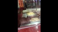 Hii.. Tikus Ini Tertangkap Tengah Minum Air di Meja Restoran 