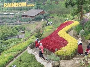 Terpikat Rainbow Garden Lembang Bandung