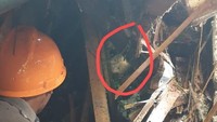 Penyelamatan bocah laki-laki itu disampaikan lewat video dan foto-foto yang dikirimkan oleh Kabag Penum Divisi Humas Polri Kombes Syahardiantono, Minggu (23/12/2018). Tampak hanya wajah bocah itu yang terlihat di antara reruntuhan.  (Foto: Dok. Mabes Polri)