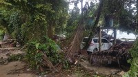 Mobil tersangkut di antara pepohonan di dekat Pantai Anyer. (Bahtiar/detikcom)