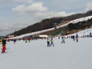 Serunya Bermain Ski di Vivaldi Park, Korea Selatan