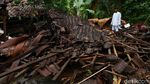 Kondisi Terkini Pantai Anyer Pasca Diterjang Tsunami