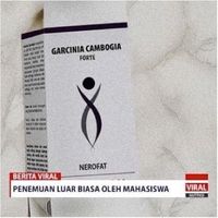 Diet Teraman Tanpa Latihan Ekstra: Turun hingga 18 Kg per Bulan
