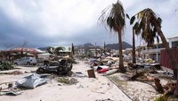 Badai Irma melanda kawasan Barbuda, Saint Barthelemy, Saint Martin, Anguila dan pulau Virgin dan mengambil nyawa sebanyak 102 orang. Total kerugian akibat badai Irma mencapai US$ 80 miliar atau setara Rp 1160 miliar. Istimewa/Business Pundit.