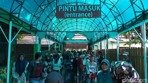 Liburan Sekolah Hari Kedua, Pengunjung KBS Lebih dari 30 Ribu