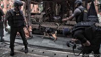 Anjing pelcak mengendus-endus bagian luar hingga dalam gereja.