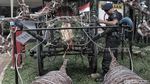 Polisi Bersenjata dan Anjing Pelacak Sisir Katedral