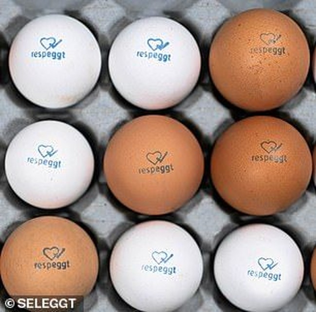 Cek Kesegaran Telur Ayam dengan 5 Cara Praktis Ini