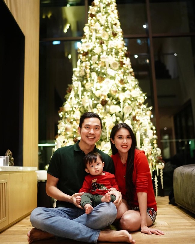 Inilah keindahan pohon Natal di rumah artis Sandra Dewi. Sandra yang pertamakalinya merayakan Natal setelah memiliki seorang putra, menghias rumahnya dengan pohon Natal yang di kala siang berwarna putih dan di saat malam dihiasi lampu nan cantik. Foto: Dok. Instagram Sandra Dewi