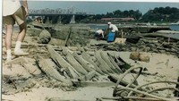 Sungai Missipi pernah mengalami kekeringan parah pada 1988 hingga 1989 hingga menewaskan 17.000 orang dan menimbulkan kebakaran di Yellowstone. Perkiraan kerugian yang dicapai adalah sebesar US$ 60 miliar setara dengan Rp 870 triliun. Istimewa/Business Pundit.