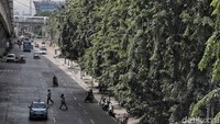 Jalanan Yos Sudarso yang biasanya ramai dengan kendaraan truk kontainer kini mulai lenggang.