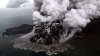 Sebelumnya, Gunung Anak Krakatau di Selat Sunda erupsi pada Sabtu, 22 Desember 2018 pukul 17.22 WIB dengan tinggi kolom abu teramati sekitar 1.500 meter di atas puncak (sekitar 1.838 meter di atas permukaan laut). Antara Foto/Bisnis Indonesia/Nurul Hidayat.