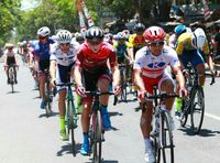Tour de Banyuwangi Ijen (Ardian Fanani/detikTravel)