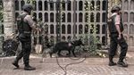 Polisi Bersenjata dan Anjing Pelacak Sisir Katedral
