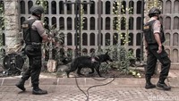 Anjing pelacak dikerahkan untuk memastikan dan menyisir gereja bebas dari berbagai ancaman teror bom.
