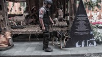 Polisi dan anjing pelacak memeriksa hingga disetiap sudut gereja. 