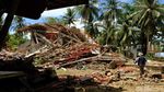Potret Jokowi di Bibir Pantai Selat Sunda Pasca Terjangan Tsunami