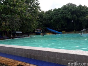 Tertimpa Pohon Saat Wisata, Satu Bocah Meninggal dan Satu Kritis