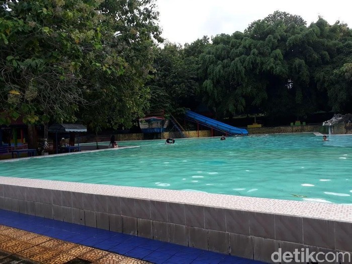 Tertimpa Pohon Saat Wisata, Satu Bocah Meninggal dan Satu Kritis