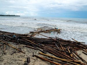 Kondisi Pantai Carita 2 Hari Pasca Tsunami