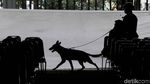 Polisi Bersenjata dan Anjing Pelacak Sisir Katedral