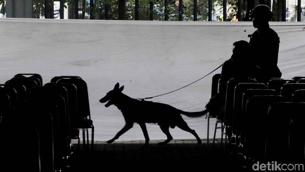 Polisi Bersenjata dan Anjing Pelacak Sisir Katedral