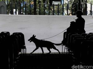 Polisi Bersenjata dan Anjing Pelacak Sisir Katedral