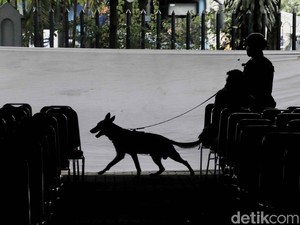 Bea Cukai Usul Anggaran Rp 3,6 T, DPR: Untuk Beli Anjing?