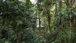 Ada Rumah Keren Tapi di Tengah Hutan, Berani Tinggal?