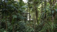 Untuk masuk ke dalam bangunan ini, terdapat tangga yang menyatu dengan warna tanah. Foto: Inhabitat