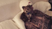 Justin Bieber membelikan seekor anjing untung kekasihnya itu sebagai hadiah Natal di tahun ini. Dok. Instagram