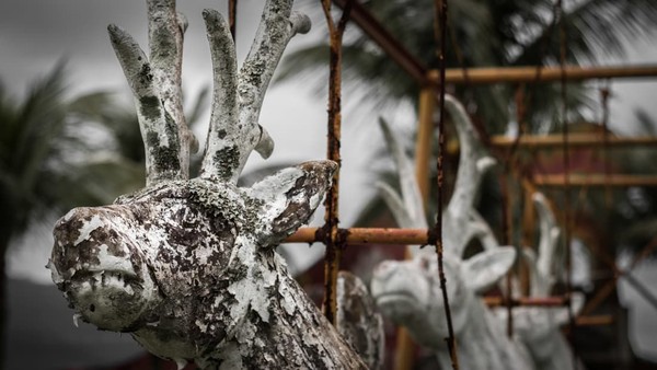 Seorang fotografer CNN Travel, Christopher Jones mengabadikan tiap sudut Park Albanoel (CNN Travel/Christopher Jones) Seorang fotografer CNN Travel, Christopher Jones mengabadikan tiap sudut Park Albanoel (CNN Travel/Christopher Jones)