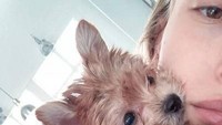 Hailey pun tampak bahagia lewat postingannya bersama Oscar, si anjing lucu yang menjadi hadiah natalnya. Dok. Instagram