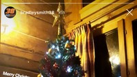 Bradley Smith menggunggah foto pohon natal di rumahnya. Suasana rumahnya terlihat begitu syahdu bukan? (Instagram)