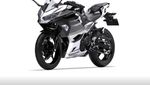 Warna Baru Kawasaki Ninja 250, Lebih Maskulin