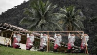 Informasi mengenai Park Albanoel pun tidak banyak tersedia, baik itu di internet (CNN Travel/Christopher Jones)