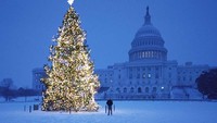 Pohon Natal Washington DC Capitol seharga US$ 1 juta atau Rp 14,5 miliar. Istimewa/financesonline.com.