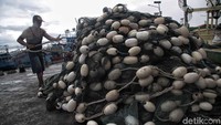 Selain itu, mereka masih takut akan kejadian tsunami Selat Sunda yang menimpa kawasan Pandeglang, Banten.
