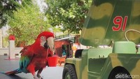 Mau foto seperti ini? (Eko Sudjarwo/detikTravel)