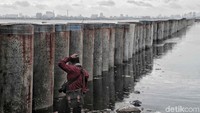 Kini, perencanaannya sedang dimatangkan pemerintah pusat. Program tanggul pantai NCICD ini bisa segera rampung studi atau desainnya tahun akhir 2018, namun memang tampak akan diperpanjang studi atau desainnya sampai akhir 2019.