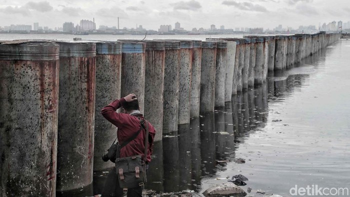 Ibu kota Jakarta membutuhkan giant sea wall atau tanggul laut raksasa untuk mencegah terjadinya banjir rob.
