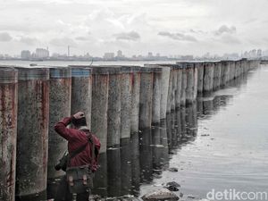 Pemprov DKI Jamin Robohnya Tanggul NCICD Tak Picu Banjir di Muara Baru